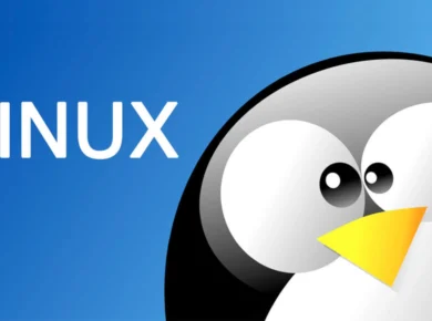 2025 Yılı İçin Yeni Başlayanlara Uygun En İyi Linux Dağıtımları – Kapsamlı Rehber