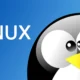 2025 Yılı İçin Yeni Başlayanlara Uygun En İyi Linux Dağıtımları – Kapsamlı Rehber
