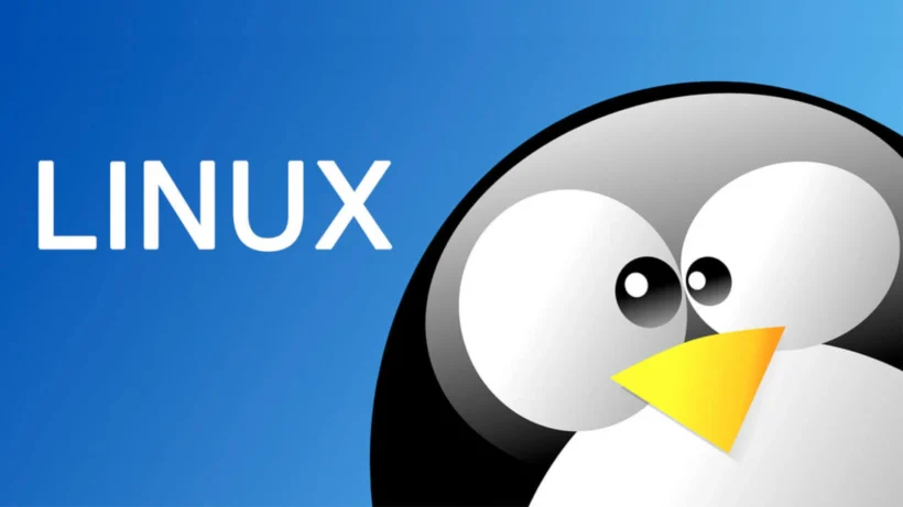 2025 Yılı İçin Yeni Başlayanlara Uygun En İyi Linux Dağıtımları – Kapsamlı Rehber